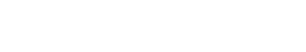 SafeConnect