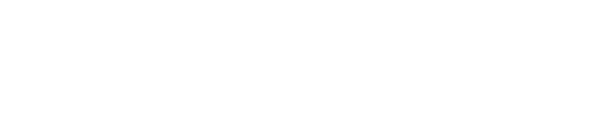 SafeGuard – logo produktu